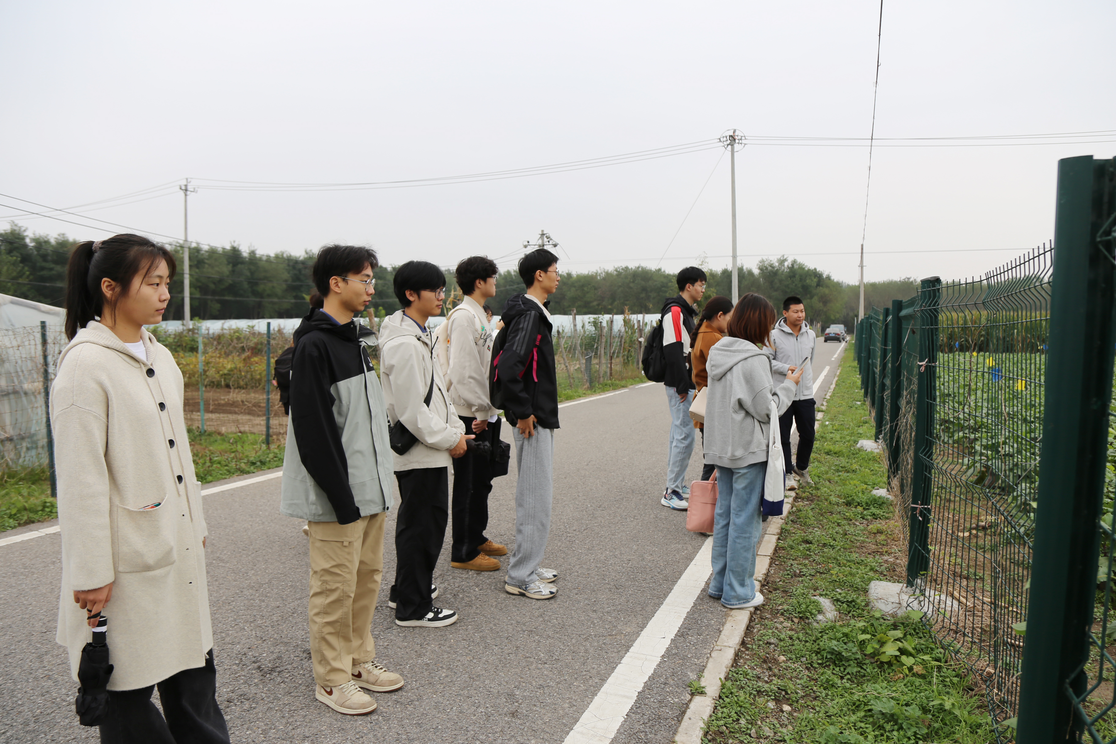 1761009106494297.jpg 1761009106494297.jpg